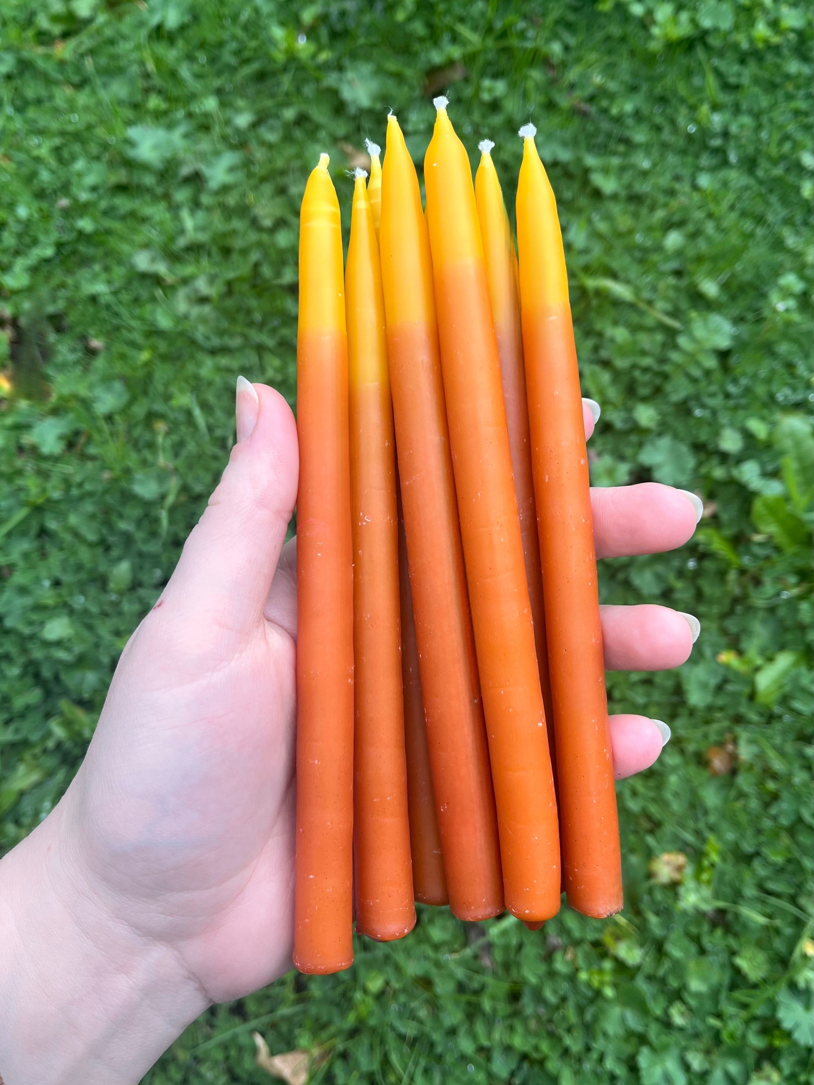 Pair of Peachy Two-Toned Botanically Dyed Beeswax Spell Tapers