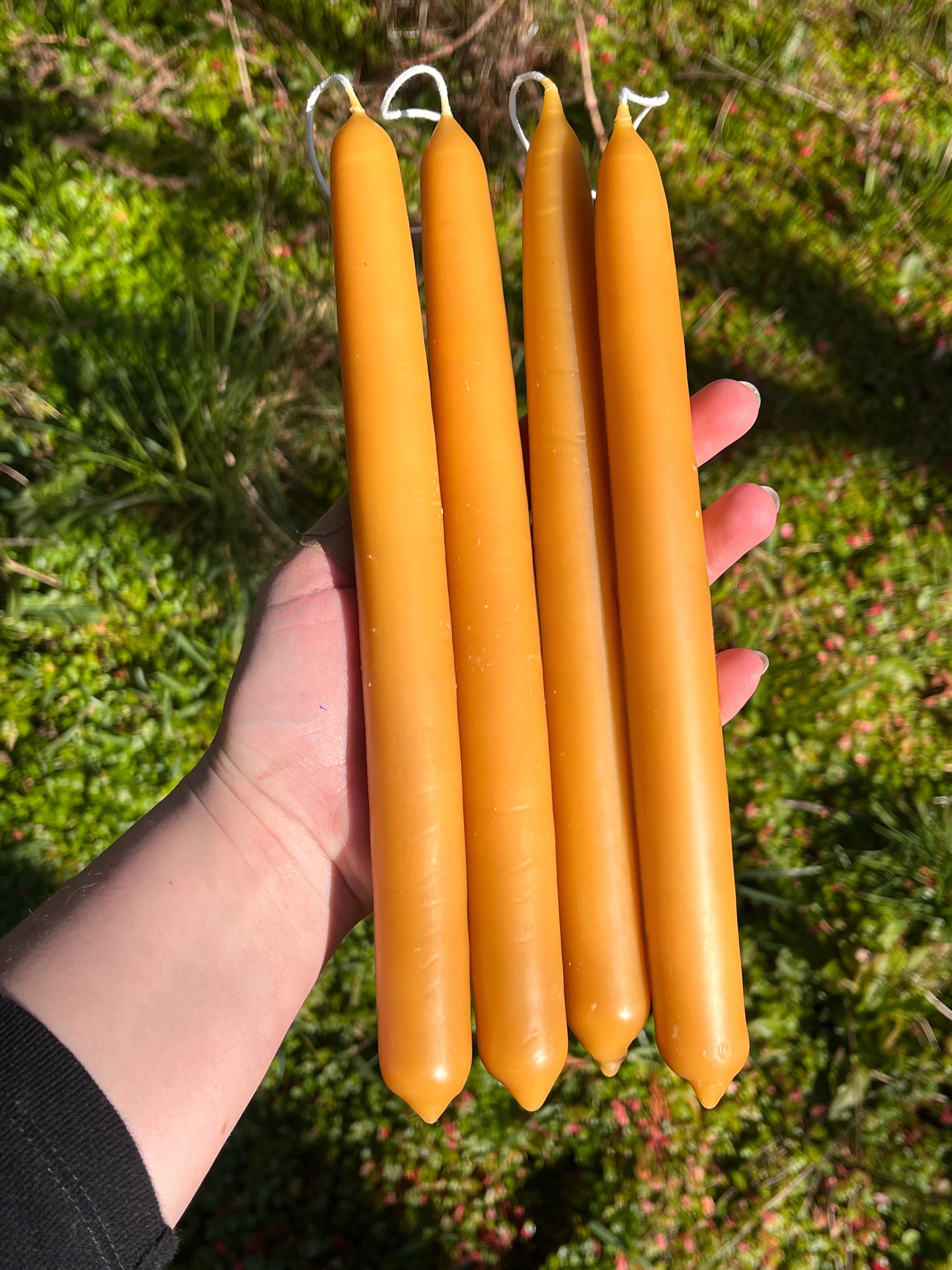 Pair of Hand Dipped Oregon Beeswax Taper Candles