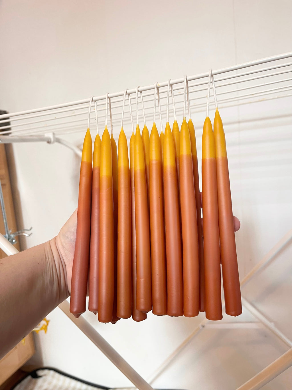 Pair of Peachy Two-Toned Botanically Dyed 8" Beeswax Tapers