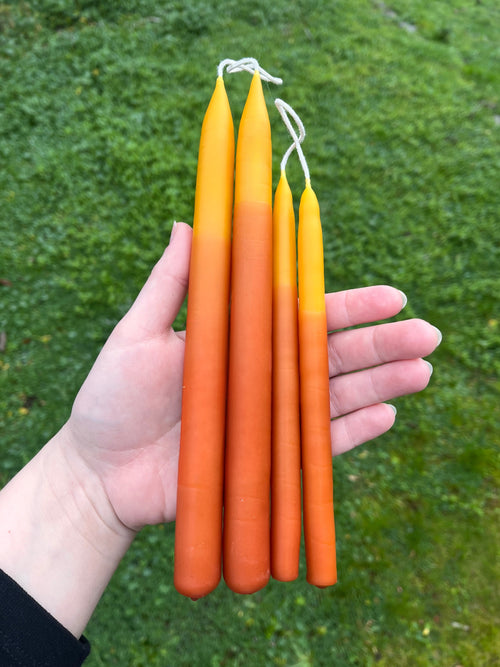 Pair of Peachy Two-Toned Botanically Dyed Beeswax Spell Tapers